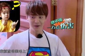 吃瓜娱乐酱柯基