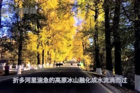 娱乐吃瓜君2,揭秘娱乐圈背后的秘密与八卦